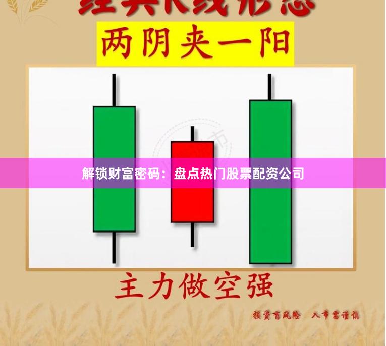 解锁财富密码：盘点热门股票配资公司