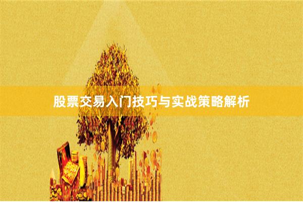 股票交易入门技巧与实战策略解析